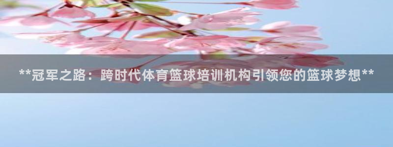 尊龙凯时开发：**冠军之路：跨时代体育篮球培训机构引